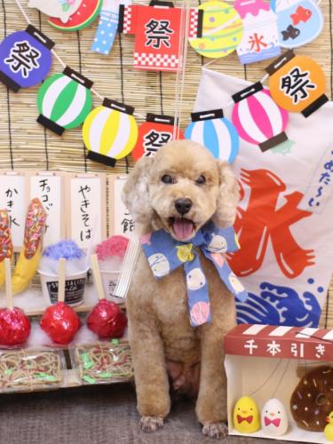 20240723アルトくん